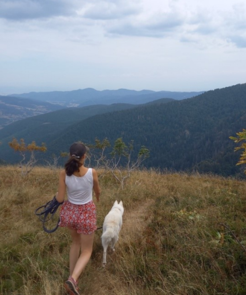 Samantha en randonnée dans les Vosges avec son chien